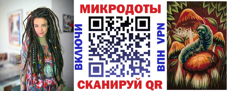 магазин продажи наркотиков Галич Галлюциногенные грибы Cubensis
